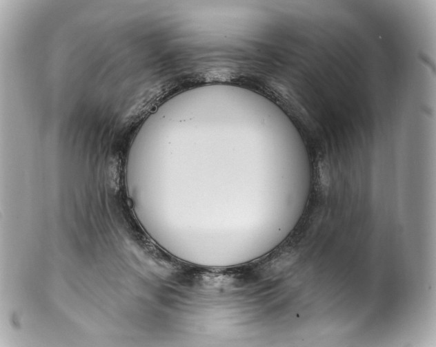 X0000099560311200805301546