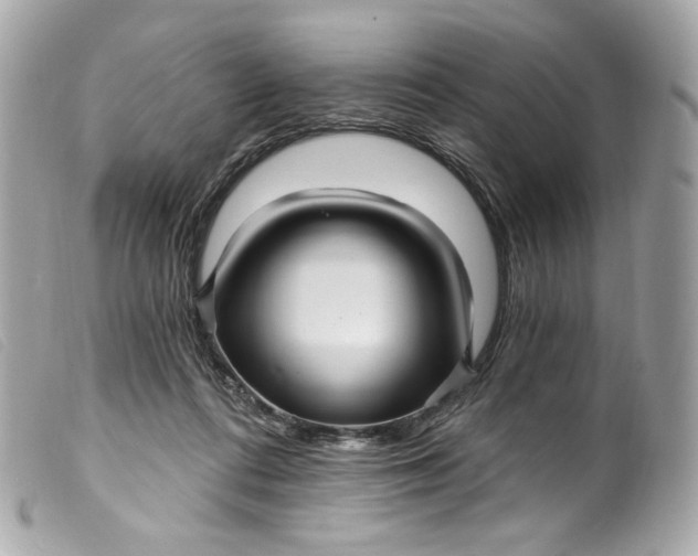 X0000099560312200805301546