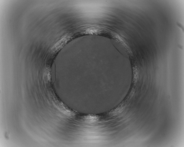 X0000099560313200805301546