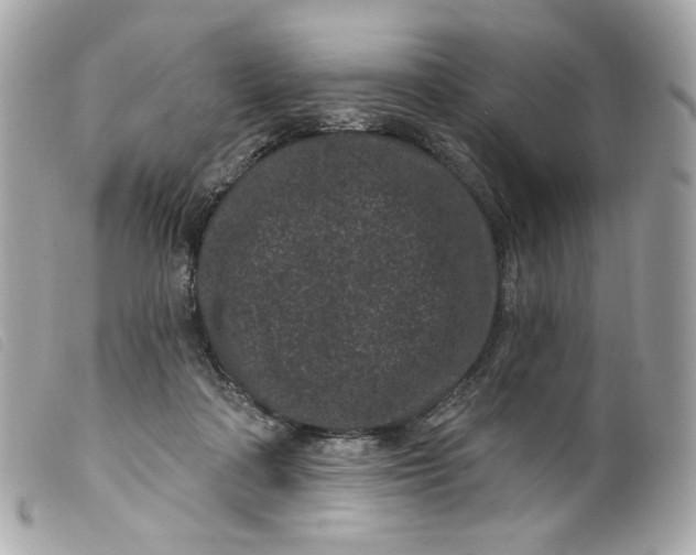 X0000099560314200805301546