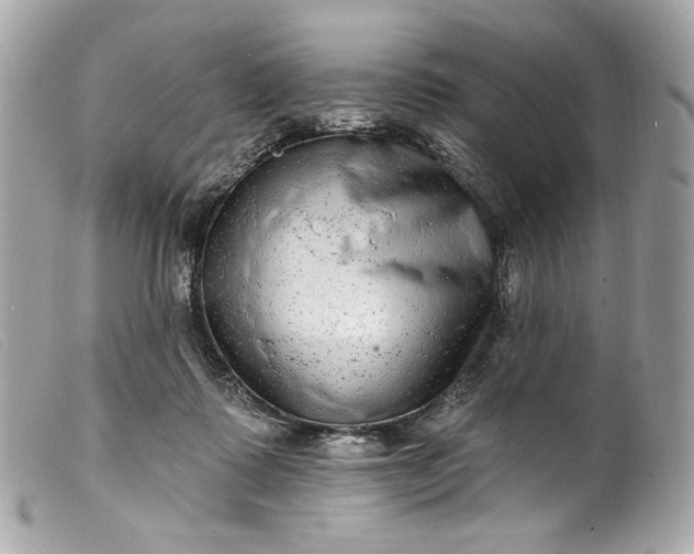 X0000099560315200805301546