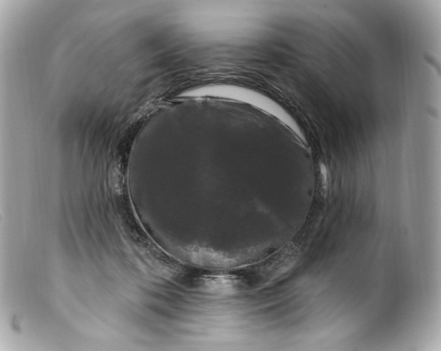 X0000099560316200805301546