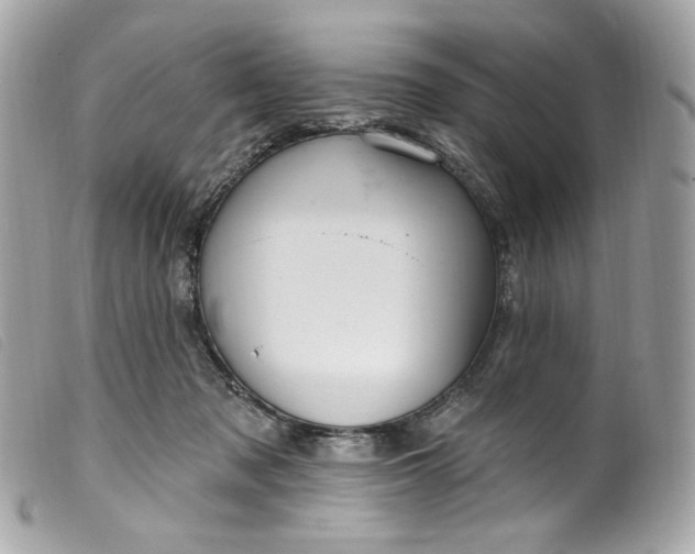 X0000099560317200805301546