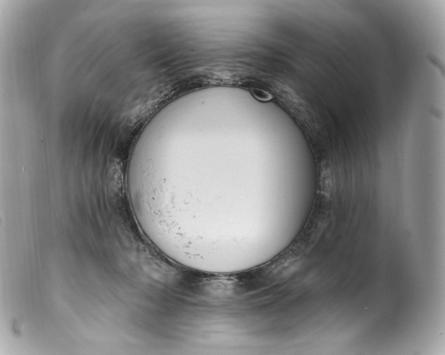 X0000099560318200805301546