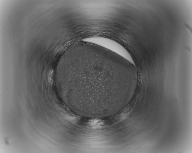 X0000099560319200805301546