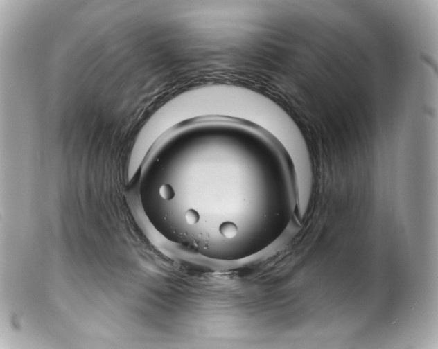 X0000099560320200805301546