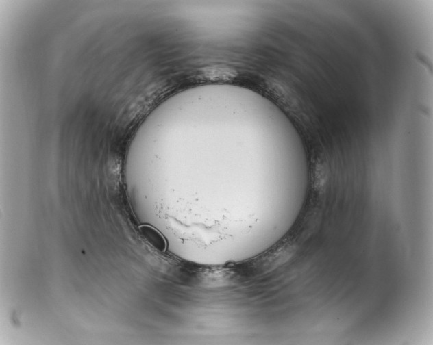 X0000099560321200805301546