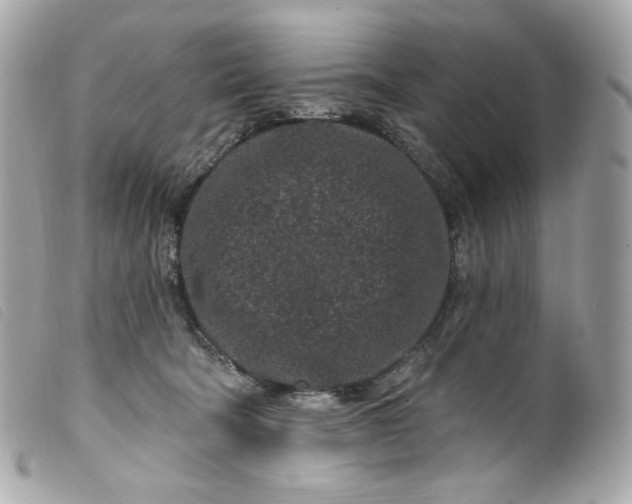 X0000099560322200805301546