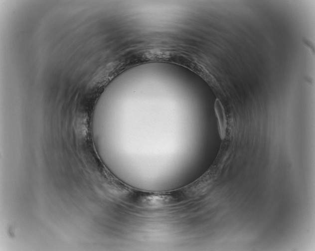 X0000099560323200805301546