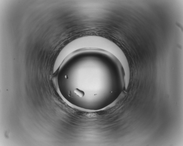 X0000099560324200805301546