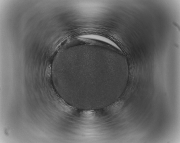 X0000099560325200805301546