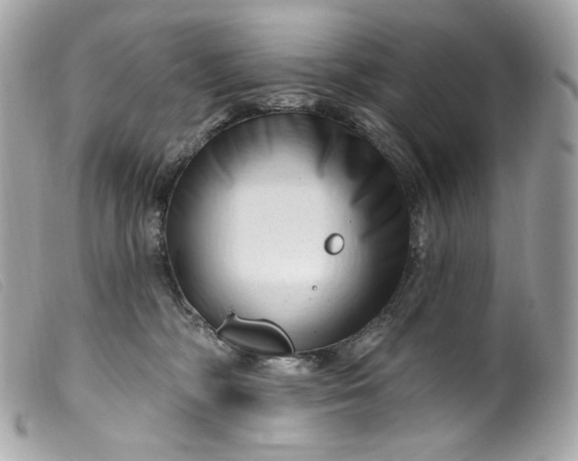 X0000099560326200805301546