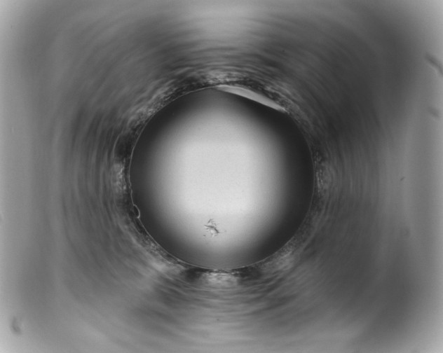 X0000099560327200805301546