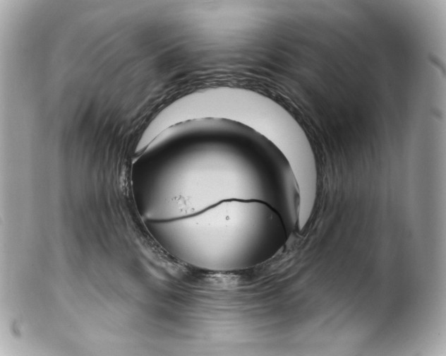 X0000099560328200805301546