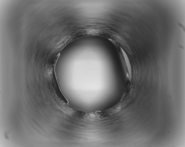 X0000099560329200805301546