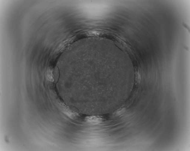 X0000099560331200805301546