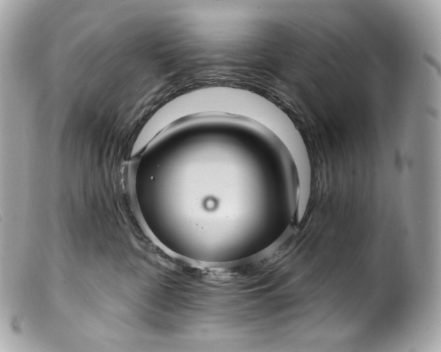 X0000099560332200805301546