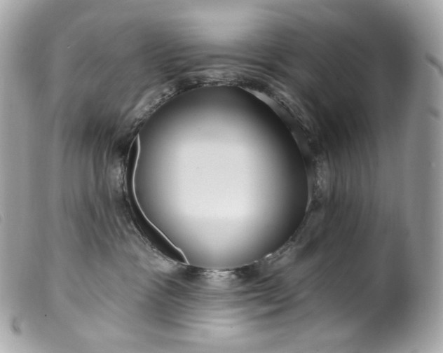 X0000099560333200805301546