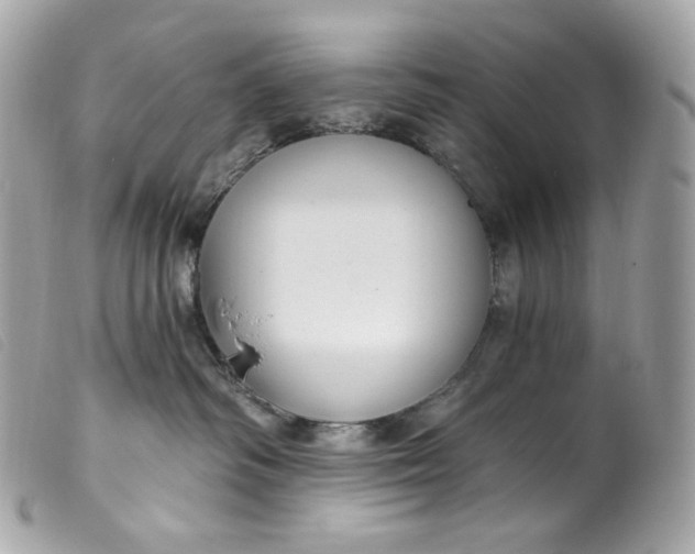 X0000099560334200805301546