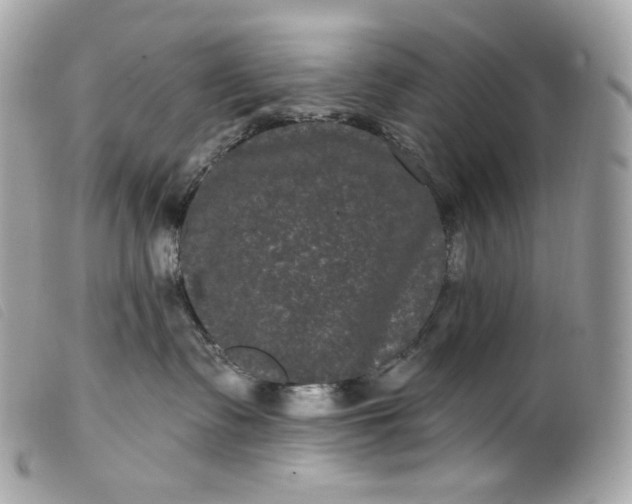 X0000099560335200805301546