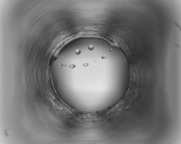 X0000099560338200805301545