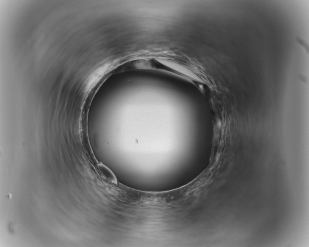 X0000099560340200805301545