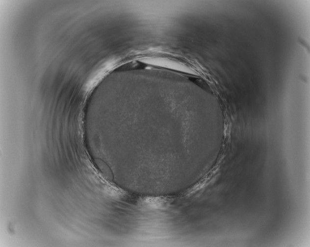 X0000099560341200805301546