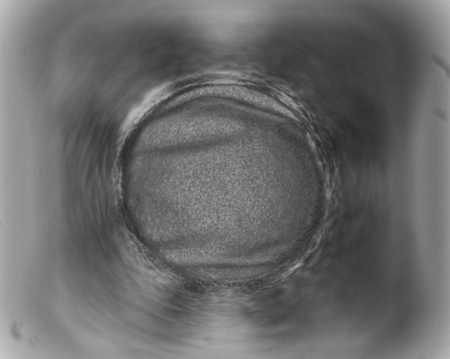 X0000099560343200805301546