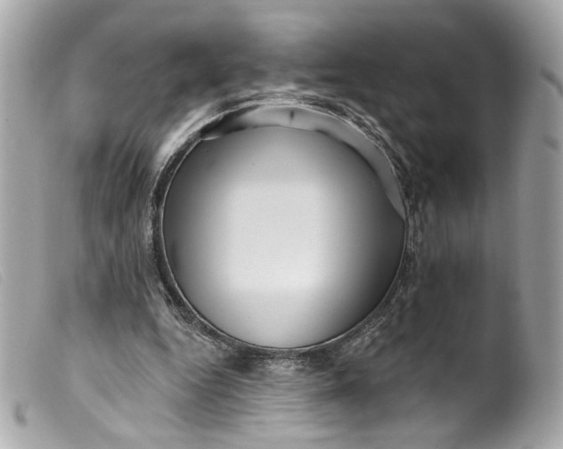 X0000099560344200805301546