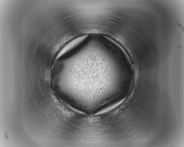 X0000099560345200805301546