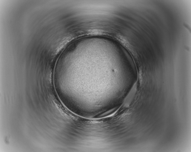 X0000099560347200805301546