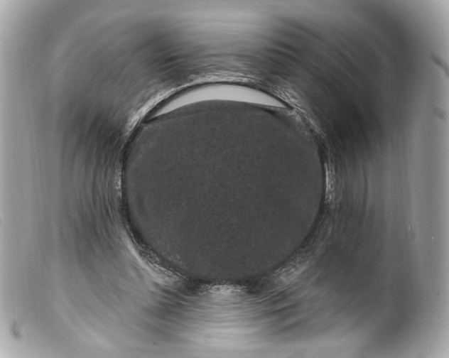 X0000099560348200805301546