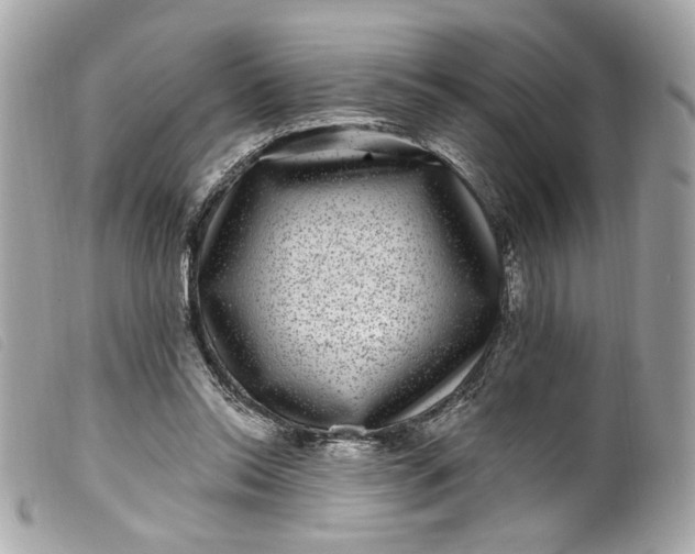 X0000099560350200805301546