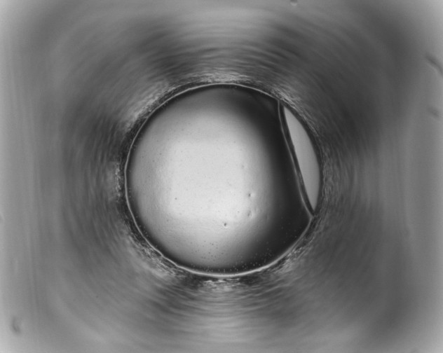 X0000099560351200805301546