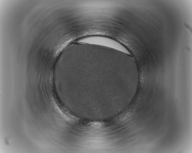 X0000099560352200805301546