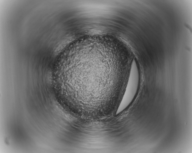 X0000099560353200805301546