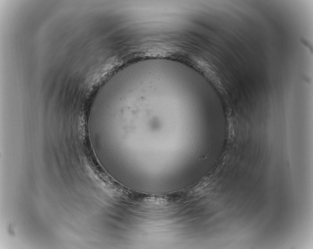 X0000099560354200805301546