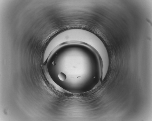 X0000099560356200805301546