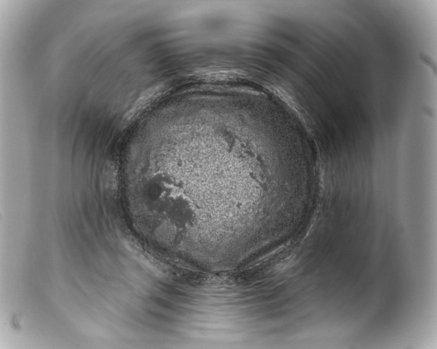 X0000099560357200805301546