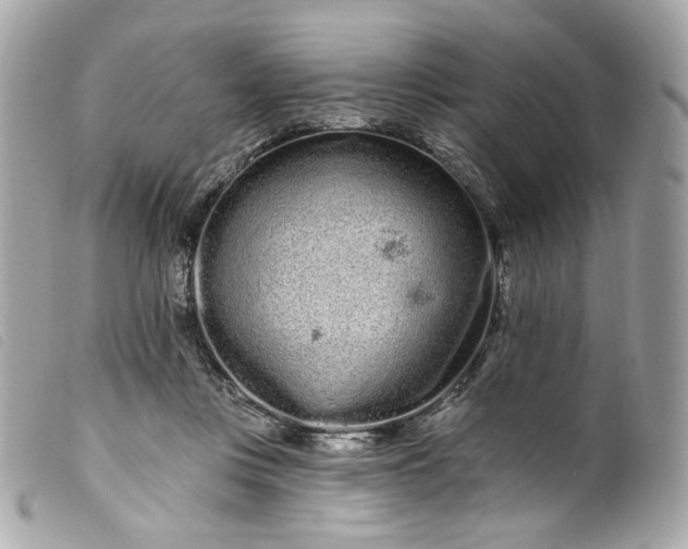 X0000099560359200805301546