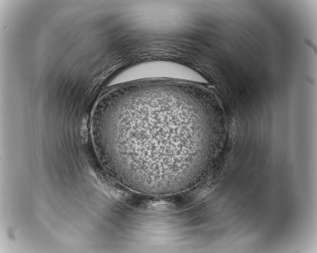 X0000099560360200805301546