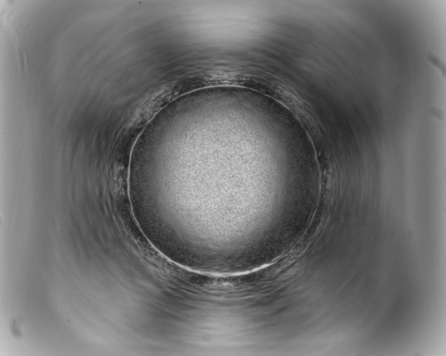 X0000099560361200805301546