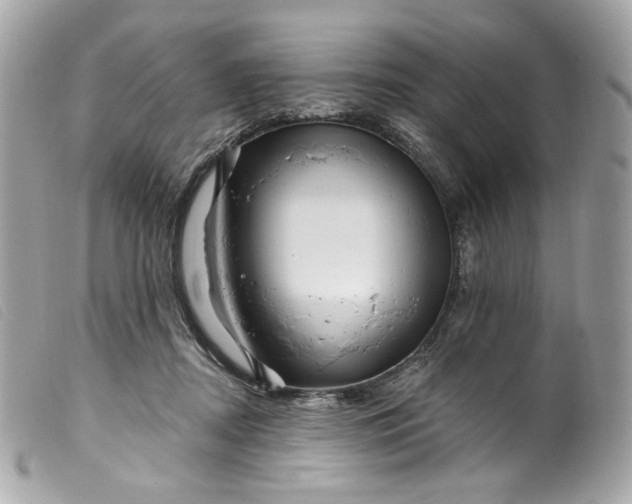 X0000099560362200805301546