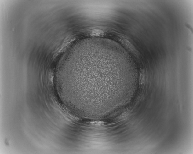 X0000099560363200805301546