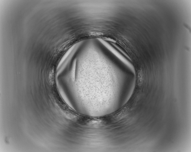 X0000099560364200805301546