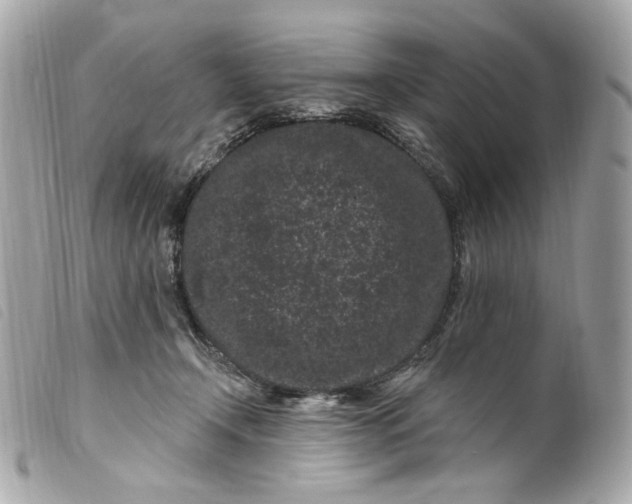 X0000099560366200805301546