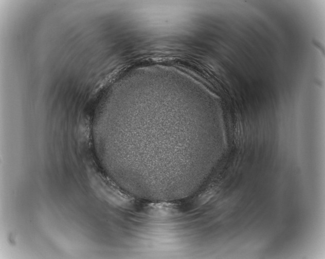 X0000099560367200805301546