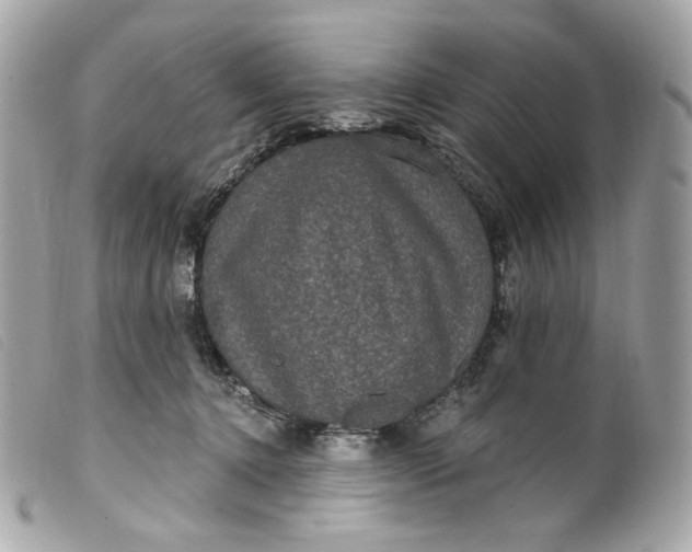 X0000099560368200805301546