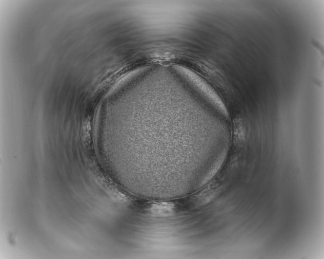 X0000099560369200805301546