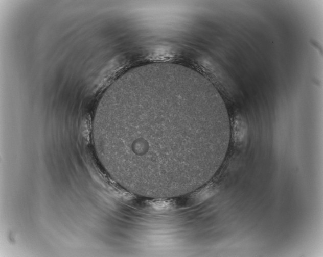 X0000099560370200805301546